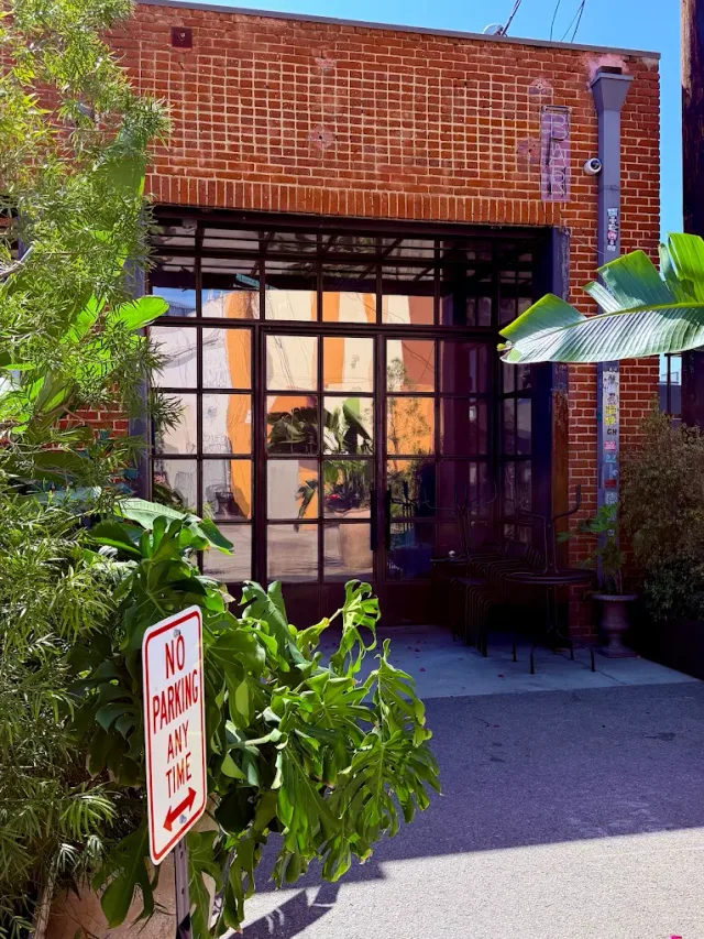 Lynx in Los Angeles, from its Google Maps photo gallery